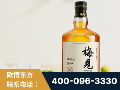郴州-梅见青梅酒